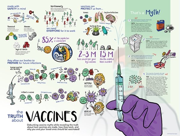 Vaccination Infographic Visualization by Karlee D. Rogers, 2019, Adobe Illustrator, Photoshop and InDesign